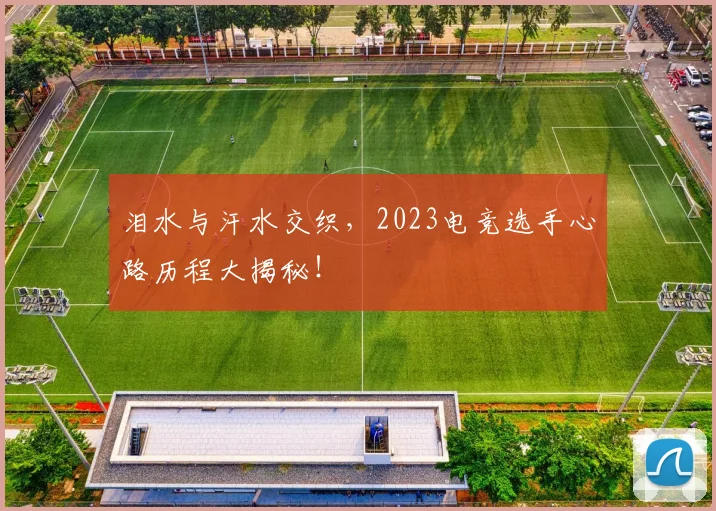 泪水与汗水交织，2023电竞选手心路历程大揭秘！